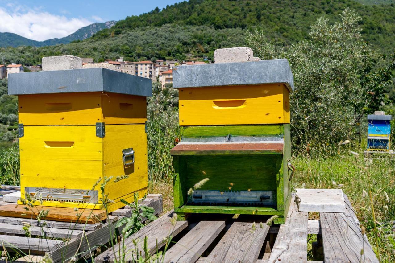 Arve Castelbianco - B&B E Appartamento Colletta エクステリア 写真
