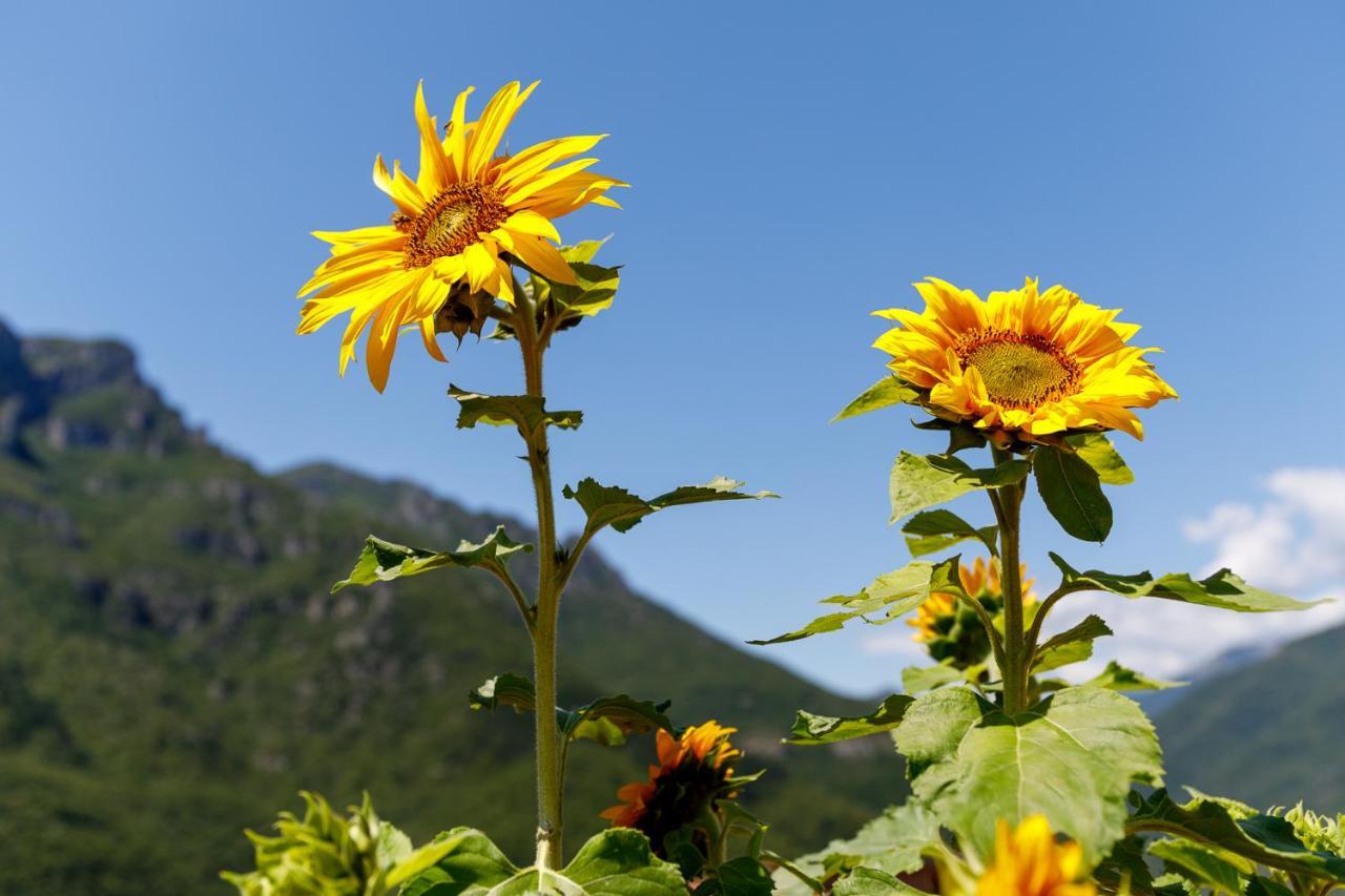 Arve Castelbianco - B&B E Appartamento Colletta エクステリア 写真